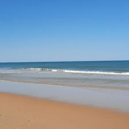 Location Terre * Le Temple (Gironde)