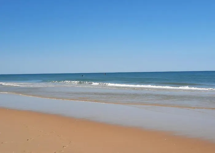 Location Terre * Le Temple (Gironde)